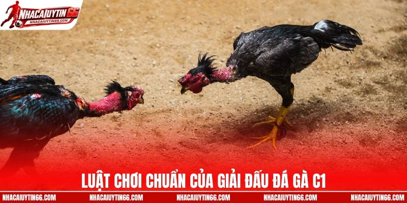 Luật chơi chuẩn của giải đấu đá gà C1